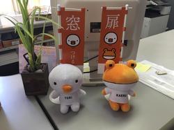 2017-04-02 10.46.50.jpg