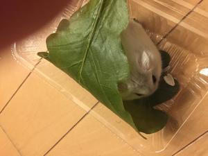 2017-05-04 20.28.13.jpg