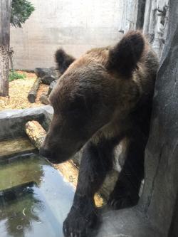 2017-08-12 20.29.33.jpg