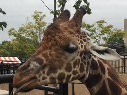 2017-08-12 15.59.44.jpg