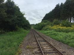 2017-08-13 10.41.59.jpg