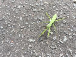 2017-08-15 13.29.38.jpg