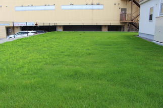 眩しい緑の芝生が心地よい