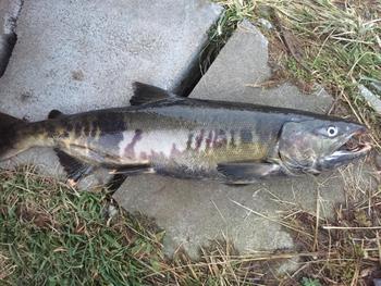 写真 2017-11-16 16 24 03.jpg