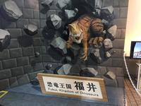 写真 2017-11-28 14 16 23.jpg