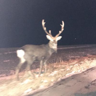 写真 2019-01-14 15 29 03.jpg