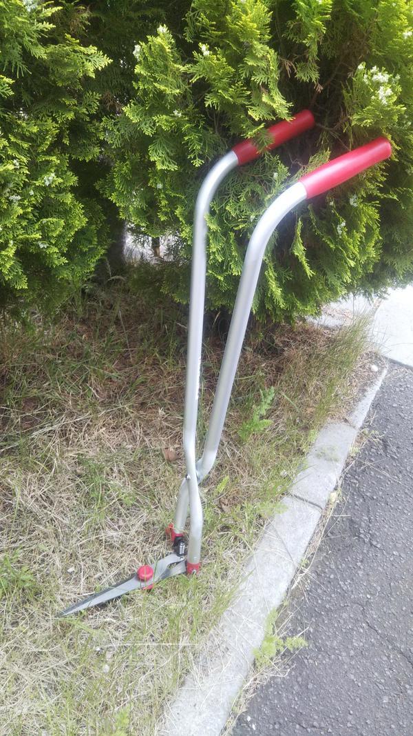 たちかるくん.JPGのサムネイル画像