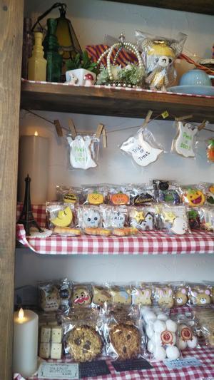 DSC_1260.JPGのサムネイル画像