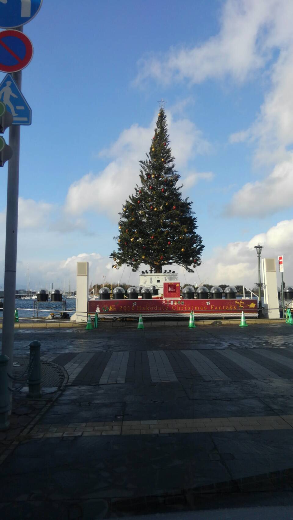 image1 (3) - コピー.JPG