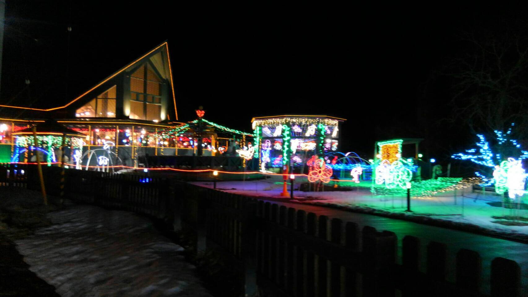 image1 (6) - コピー.JPG