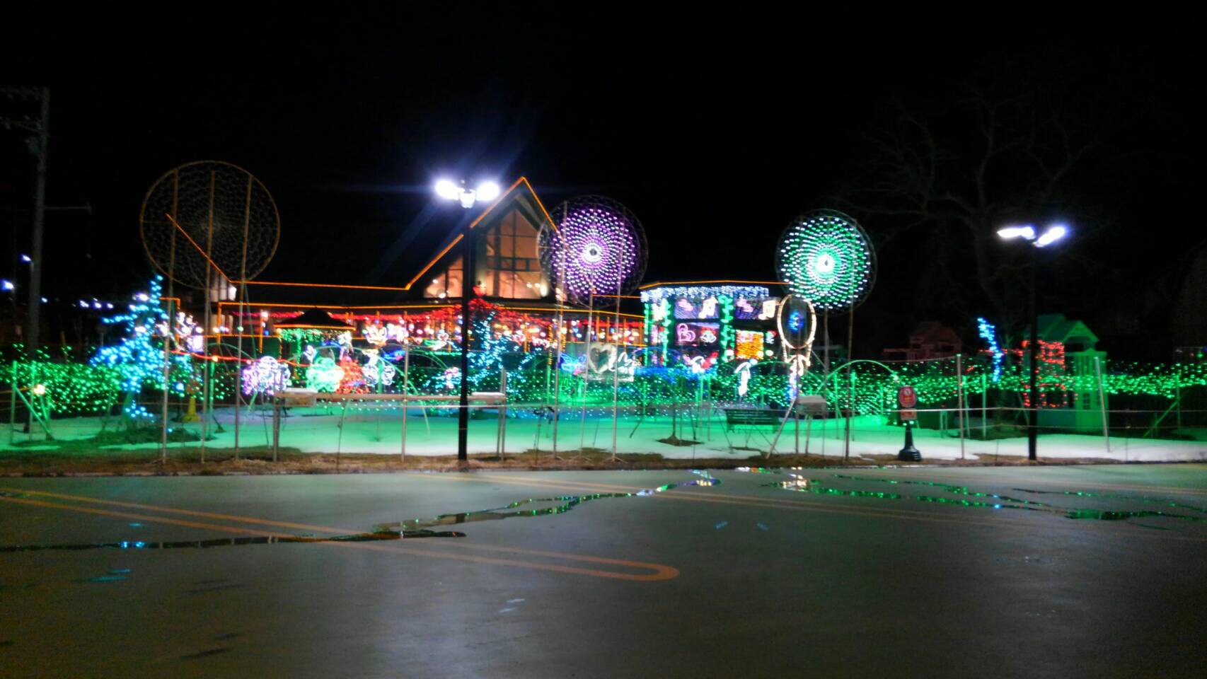 image1 (7) - コピー.JPG