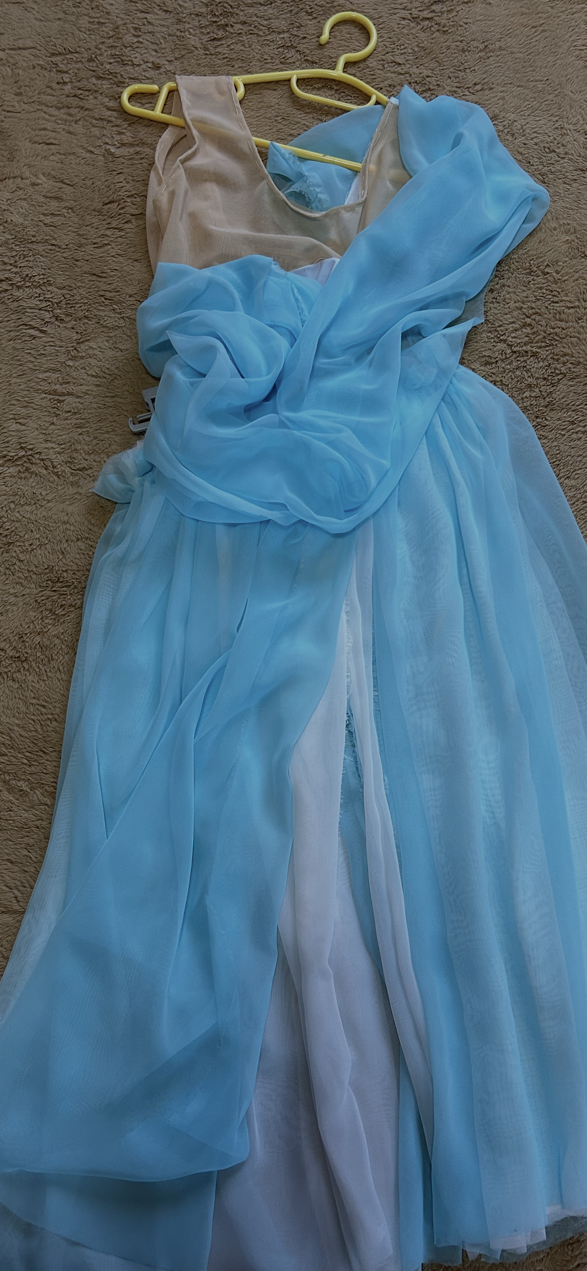 IMG_1329.PNG