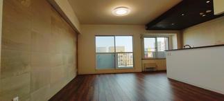 壁一面にエコカラットを