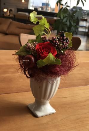 写真 2017-02-26.jpgのサムネイル画像