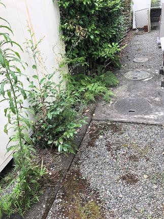 フェンス施工前