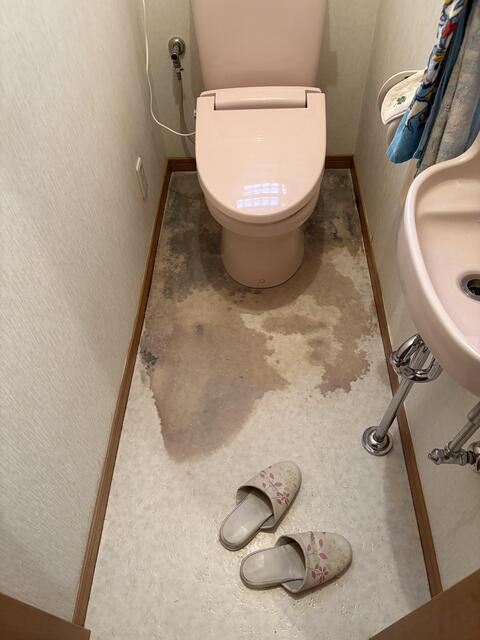 ビフォー