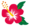hibiscus_red.png