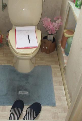 リフォーム前のトイレ