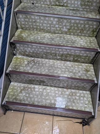 毎日行き来する階段やタイルのメンテナンスも大切＿施工前