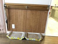 蜀咏悄 2020-11-14 11 11 07.jpg