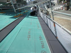 2017-04-20 11.05.07.jpg