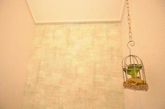 鳥かご風アイアンの中は植物が。。。