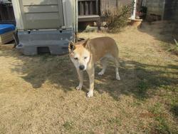 2018-02-16 14.24.42.jpg