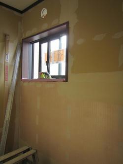 2018-03-03 15.27.53.jpg