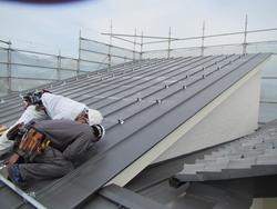 2018-05-12 09.37.50.jpg