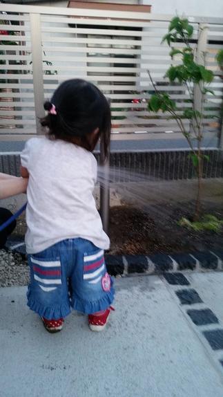 娘さんと一緒に植物を植え、お水をあげています。微笑ましい姿ですね。
