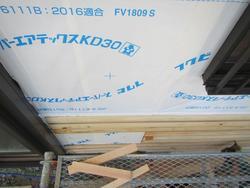 2018-11-15 11.50.11.jpg