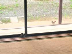 IMG_3811 (002)1111.jpg