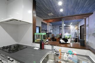 キッチンからのアングル