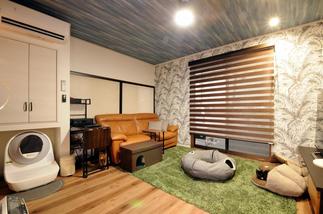 写真左側にある丸みある機器は猫ちゃん用トイレ