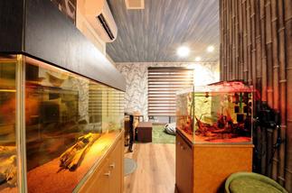 リビングの一角に熱帯魚の水槽