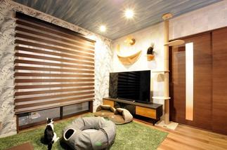 猫ちゃんの居場所もたくさんあるＬＤＫ