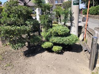 植栽は別のお庭へ移植しました。