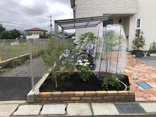 植栽いっぱいの花壇