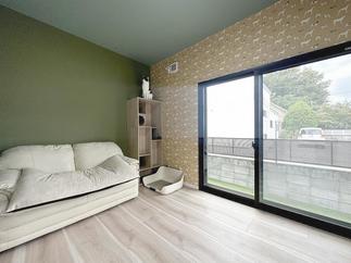 棚の上に居るのはハチです。