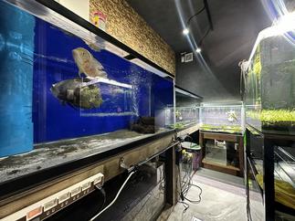 増築した部屋の内観です。