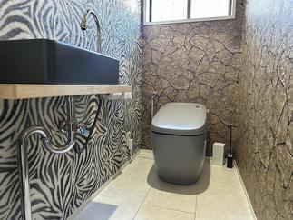 サティスGとのカラーコーディネートがいい感じですね。