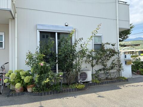 ビフォー