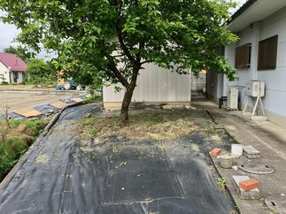 境界フェンス　工事前