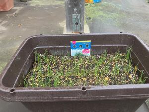 image6.jpeg