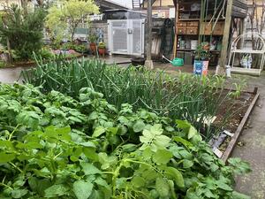image0.jpeg