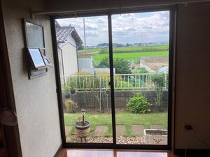 IMG_0742.jpeg