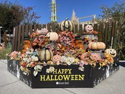 20211024　ハーベスト (133).JPG