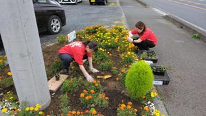 クリーングリーンプロジェクト20230630 (19).jpg