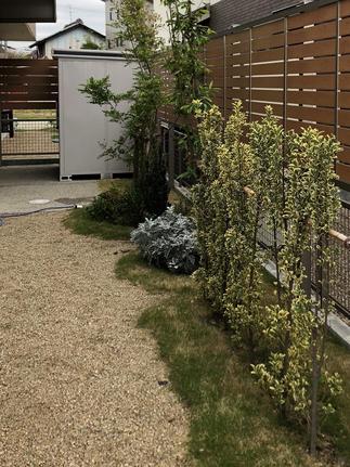 セレビューフェンス　AFTER