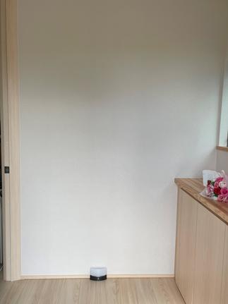 エコカラット　玄関　BEFORE